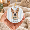 Custom Dog Cat Photo Gingham & Striped Pattern Ceramic Ornament LM32 670371