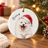 Custom Dog Cat Photo Christmas Ceramic Ornament, Keepsake Gift For Pet Lovers LM32 670369