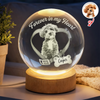 Custom Photo Forever In My Heart Memorial Engraved Crystal Ball LED Night Light CH07 911258