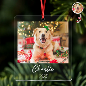 Custom Dog Photo Acrylic Ornament Christmas Gift For Dog Lovers LM32 895769