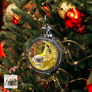 Custom Funny Dog Photo 3D Blink Effect Christmas Lantern Ornament LM32 895787