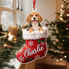 Personalized Pet Face Christmas Stocking Acrylic Ornament TH10 171451