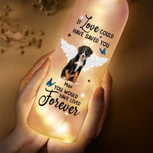 Custom Photo You Were My Favorite Hello and My Hardest Goodbye Bottle Lamp CH07 895720