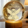 Custom Photo Dog Cat Pet Your Light Will Always Shine In My Heart Memorial Engraved Crystal Ball LED Night Light HO82 901434