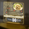 You Were My Favorite Hello And My Hardest Goodbye - Custom Pet Memorial Acrylic Collar Frame CH07 896082