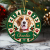 Personalized Pet Photo Christmas Ceramic Ornament, Custom Christmas Tree Decoration Gift For Pet Lovers HO82 904146