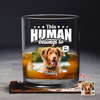 Custom Dog Cat Photo This Human Belongs To Rock Glass - Personalized Pet Lover Gift HA75 921368