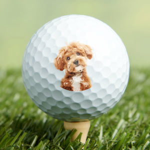 Custom Photo Human/Dog/Cat - Personalized Golf Ball Gift For Golfer, Golf Lovers HA75 898558