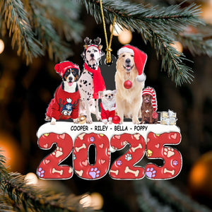 Custom Photo Acrylic Ornament Christmas Gifts For Dog Cat Lovers HA75 898200