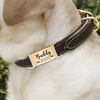 Call My Mom Dog Cat Silicone Tag Custom Dog Name Tag For Pet CH07 911298