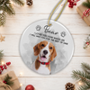 Custom Watercolor Pet Portrait Memorial Ceramic Ornament - Personalized Remembrance Gift HO82 903484