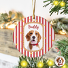 Custom Pet Photo Vintage Ceramic Ornament Gift For Pet Lovers LM32 669755