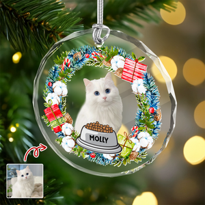 Custom Cat Photo Christmas Cirle Glass Ornament For Cat Lovers TH10 894761