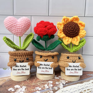 Personalized Gift For Teacher Thank You For Helping Me Grow Crochet Plant LM32 893797