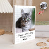 Custom Photo Happy Father's Day To the Best Cat Dad Building Brick Blocks TH10 169995