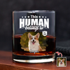 Custom Dog Cat Photo This Human Belongs To Rock Glass - Personalized Pet Lover Gift HA75 921368