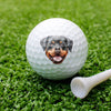 Custom Dog Photo And Name Golf Ball For Golf Lovers TH10 898225