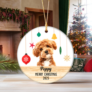 Custom Puppies Photo First Christmas Ceramic Ornament CH07 896812