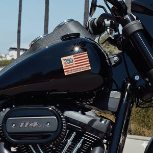 250 Anniversary Of USA Car Window Decal Sticker TH10 898305