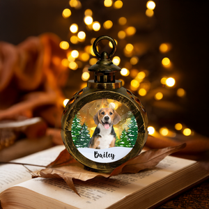 Custom Dog Photo - Personalized Christmas Lantern Ornament For Dog Lovers HA75 897540