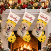 Personalized Dog Photo And Name Christmas Stocking, Holiday Decoration Gift LM32 670479