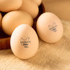 Personalized Chicken Silhouette Egg Stamp Gift for Family Farmer Breeder CH07 896656