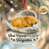 Custom Photo You Would Have Lived Forever Pet Memorial Acrylic Ornament HA75 897122