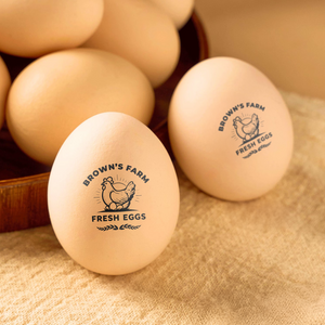 Personalized Chicken Egg Stamp for Farm Fresh Eggs Cute Coop Gift for Homesteaders CH07 910026