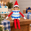 3D Printed Birthday Cake Outfit Elf Costume, Holiday Elf Accessories LM32 670447