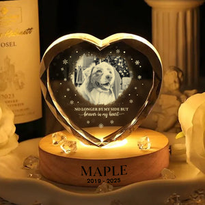 Custom Photo Forever Loved Memorial Dog Cat Engraved Crystal Photo With Light HA75 898214