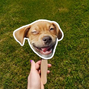 Custom Photo Funny Dog Cat Face Fan TH10 892545