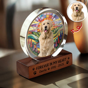 Custom Photo Forever In My Heart Dog Cat Pet Memorial Round Acrylic Frame Block HA75 897014