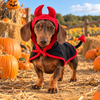 Funny Halloween Dog Costume, Devil Ghost Witch Pumpkin Bat Costume for Dogs HO82 903984