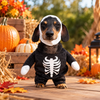 Funny Halloween Dog Costume, Devil Ghost Witch Pumpkin Bat Costume for Dogs HO82 903984