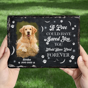 You Were My Favorite Hello Custom Dog Cat in Heaven Photo Rectangle Shaped Stone With Stand Memorial Gift CH07 895482