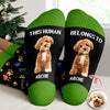 Custom Photo This Human Belongs To Dog Cat Crew Socks HA75 897616