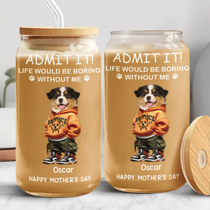 Admit It Life Boring Without Me - Custom Funny Dog Cat Face Personalized Glass Can CH07 895356