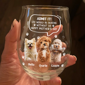Custom Photo Life Would Be Boring Without Me Dog Cat Wine Glass HA75 892028