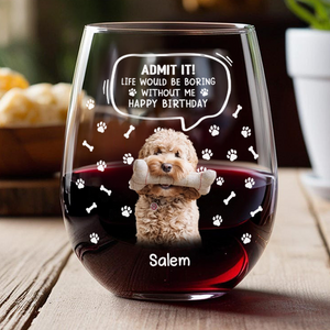 Custom Photo Life Would Be Boring Without Me Dog Cat Wine Glass HA75 892028
