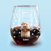 Custom Photo Life Would Be Boring Without Me Dog Cat Wine Glass HA75 892028