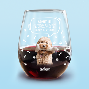 Custom Photo Life Would Be Boring Without Me Dog Cat Wine Glass HA75 892028