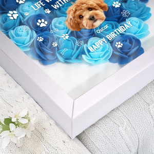 Custom Photo Life Would Be Boring Without Me Dog Cat Flower Shadow Box HA75 892168