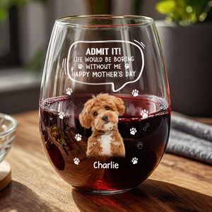 Custom Photo Life Would Be Boring Without Me Dog Cat Wine Glass HA75 892028