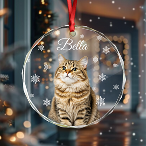 Custom Photo Cat Glass Ornament For Christmas HA75 897240