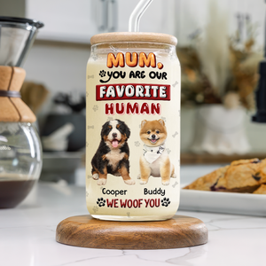 Custom Photo Mom, Dad You Are My Favorite Human Dog Glass Can With Lid HA75 892058