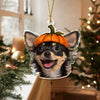 Personalized Pet Halloween Photo Acrylic Ornament Funny Halloween Tree Decoration TH10 170515