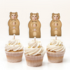 Custom Photo Mama Bear Decoration Cupcake Toppers HA75 892128