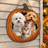 Custom Photo Pumpkin Halloween Pet Door Sign - Gift for Pet Lovers HO82 903162