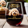 Custom Pet Photo Life Would Be Boring Without Me Photo Wine Glass HA75 920718