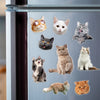 Custom Photo Cat Pet Personalized Acrylic Fridge Magnet For Cat Lovers HA75 897908